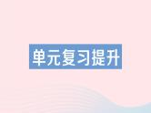 2023九年级化学下册第十一单元盐化肥单元复习提升作业课件新版新人教版