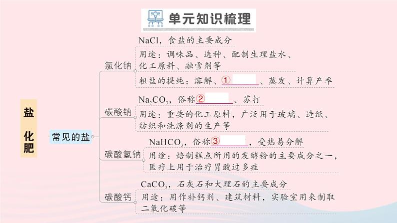 2023九年级化学下册第十一单元盐化肥单元复习提升作业课件新版新人教版02