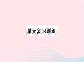 2023九年级化学下册第十一单元盐化肥单元复习训练作业课件新版新人教版