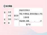2023九年级化学下册第十一单元盐化肥单元复习训练作业课件新版新人教版
