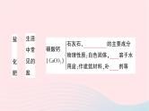 2023九年级化学下册第十一单元盐化肥单元复习训练作业课件新版新人教版