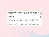 2023九年级化学下册第十一单元盐化肥滚动专题三物质的共存检验和鉴别作业课件新版新人教版
