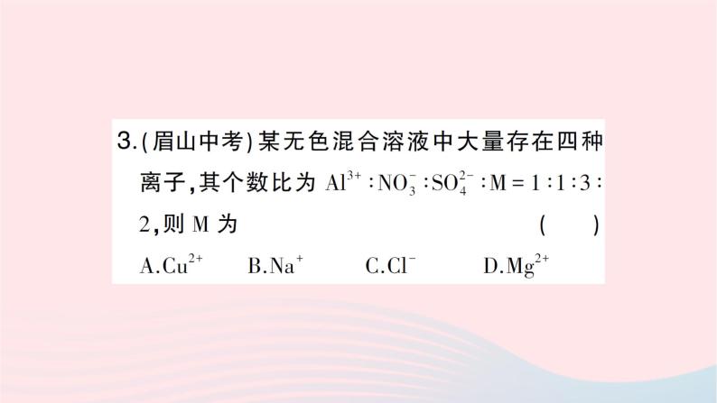 2023九年级化学下册第十一单元盐化肥滚动专题三物质的共存检验和鉴别作业课件新版新人教版06