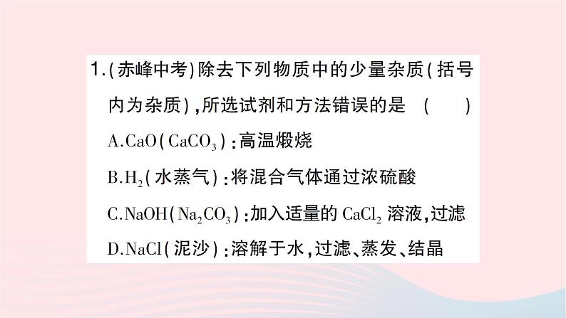 2023九年级化学下册第十一单元盐化肥滚动专题四物质的分离与除杂作业课件新版新人教版03