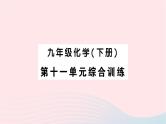 2023九年级化学下册第十一单元盐化肥综合训练作业课件新版新人教版