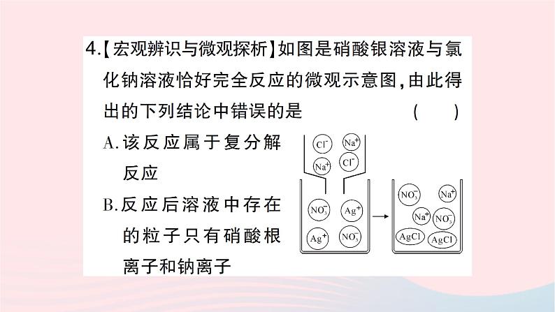 2023九年级化学下册第十一单元盐化肥课题1生活中常见的盐第3课时物质的分类盐的化学性质作业课件新版新人教版06