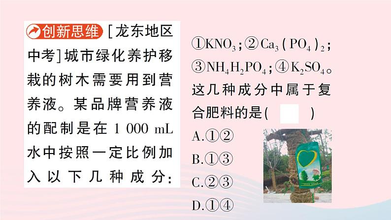 2023九年级化学下册第十一单元盐化肥课题2化学肥料作业课件新版新人教版第3页