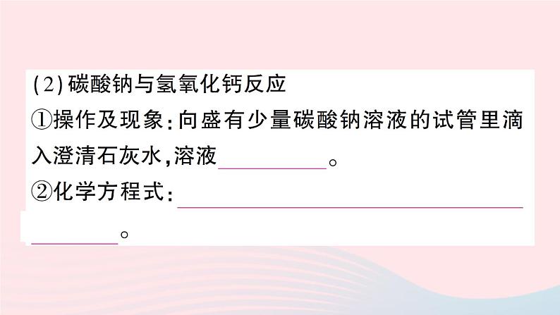 2023九年级化学下册第十一单元盐化肥默记本作业课件新版新人教版06