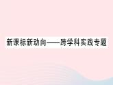 2023九年级化学下册第十二单元化学与生活新课标新动向__跨学科实践专题作业课件新版新人教版