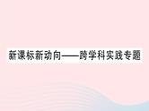 2023九年级化学下册第十二单元化学与生活新课标新动向__跨学科实践专题作业课件新版新人教版