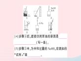 2023九年级化学下册专题二新课标学生必做实验作业课件新版新人教版