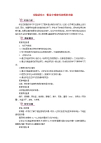 人教版九年级下册第十一单元  盐  化肥实验活动8 粗盐中难溶性杂质的去除教学设计