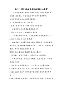 初三上册化学期末模拟试卷(含答案)
