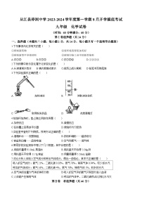 贵州省黔东南州从江县停洞中学2023-2024学年九年级上学期开学化学试题