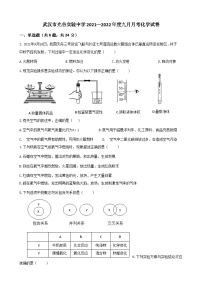 湖北省武汉市光谷实验中学2021-2022学年九年级上学期9月月考化学试题