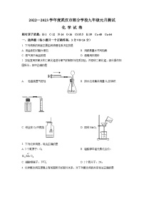 精品解析：湖北省武汉市部分学校2022-2023学年九年级上学期1月月考化学试题（原卷版）