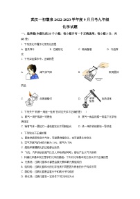 精品解析：湖北省武汉市一初慧泉中学2022-2023学年九年级9月月考化学试题（原卷版）