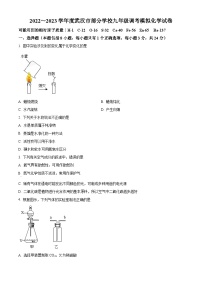 精品解析：湖北省武汉市硚口区2022-2023学年九年级元月调考模拟化学试题（原卷版）