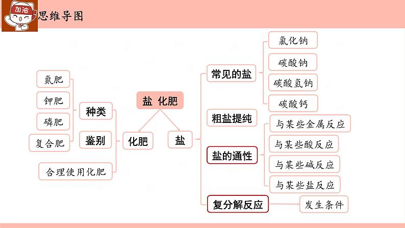 第十一单元 盐　化肥-中考化学一轮单元复习课件PPT02