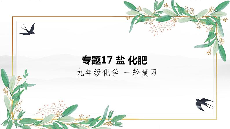 盐  化肥-中考化学一轮专题复习课件PPT第1页