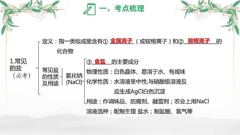 盐  化肥-中考化学一轮专题复习课件PPT第3页