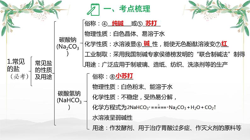 盐  化肥-中考化学一轮专题复习课件PPT第4页