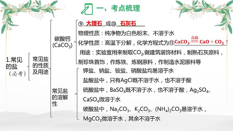 盐  化肥-中考化学一轮专题复习课件PPT第5页