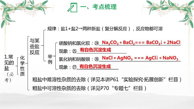 盐  化肥-中考化学一轮专题复习课件PPT第8页