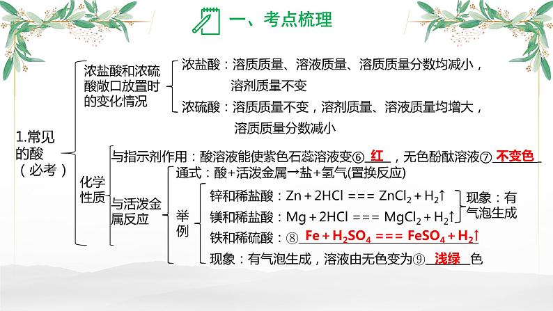 常见的酸和碱-中考化学一轮复习课件PPT第4页