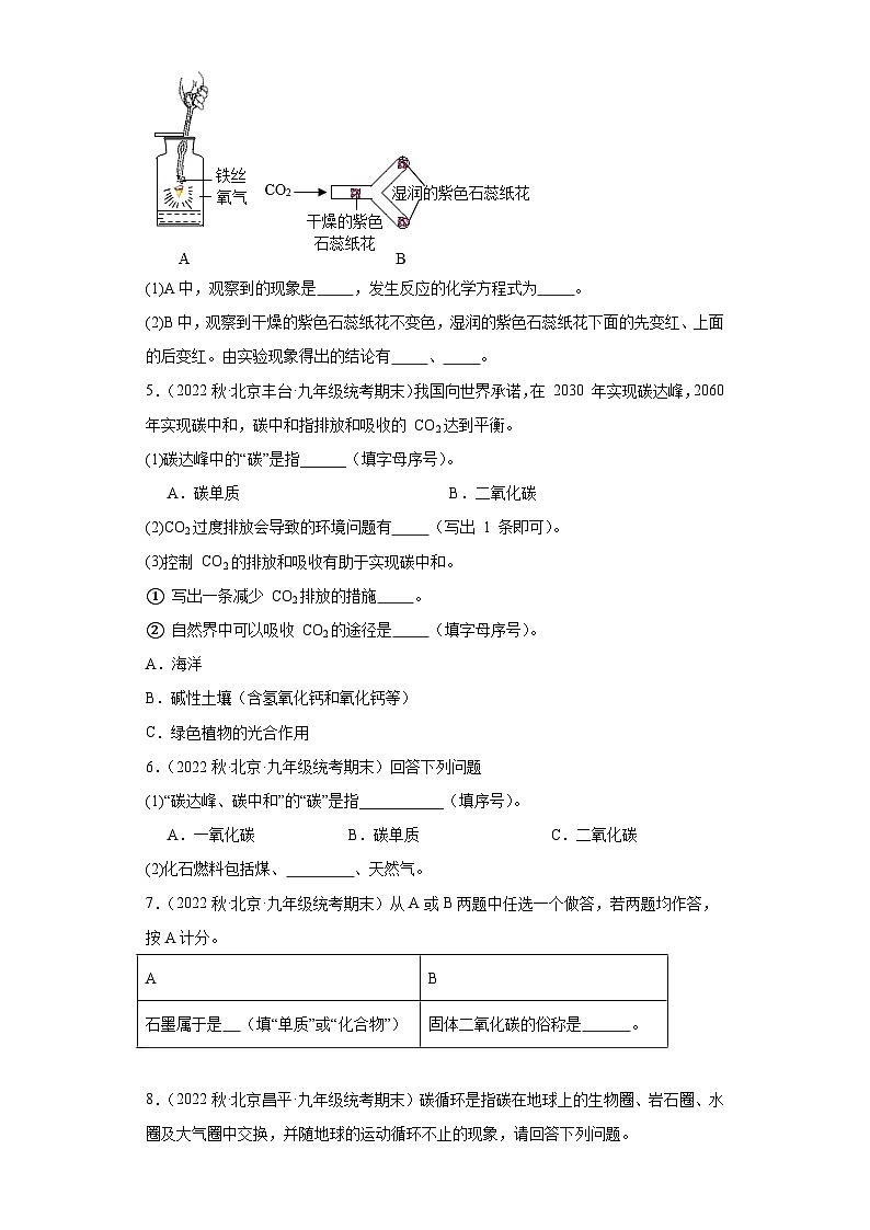 2022-2023学年北京市化学九年级上册期末试题知识点汇编-31碳及碳的氧化物（填空题）第2页