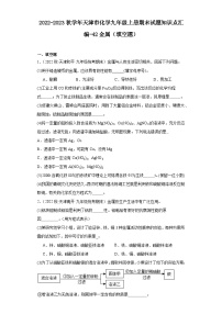 2022-2023学年天津市化学九年级上册期末试题知识点汇编-42金属（填空题）