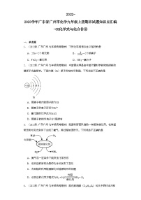 2022-2023学年广东省广州市化学九年级上册期末试题知识点汇编-08化学式与化合价②