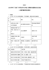 2022-2023学年广东省广州市化学九年级上册期末试题知识点汇编-11碳和碳的氧化物④