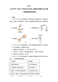 2022-2023学年广东省广州市化学九年级上册期末试题知识点汇编-11碳和碳的氧化物⑥