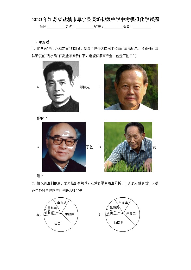 2023年江苏省盐城市阜宁县吴滩初级中学中考模拟化学试题（含解析）01