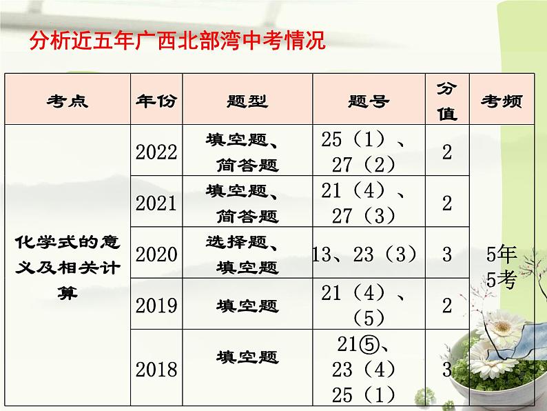 化学式与化合价-中考化学一轮复习课件PPT04