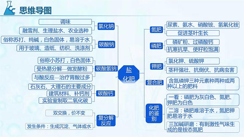 盐和化肥-中考化学一轮复习课件PPT第3页