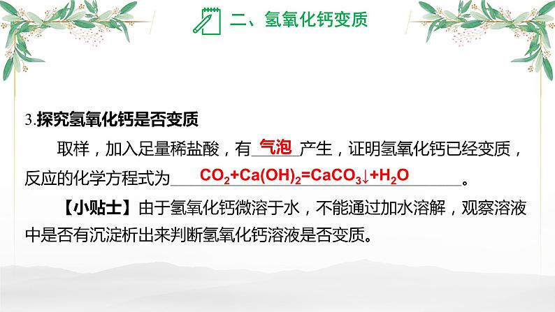 氢氧化钠和氢氧化钙变质-中考化学一轮复习课件PPT第8页