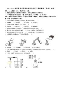 江西省南昌市新建区复兴外国语学校2023-2024学年九年级上学期开学化学试题