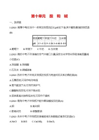 备战2023 人教版化学中考复习  高效提分作业 第十单元　酸　和　碱（安徽版）
