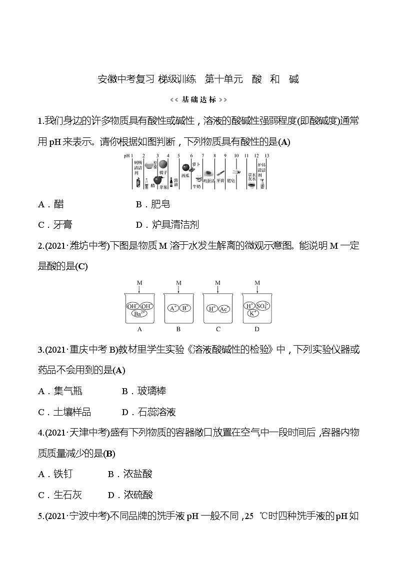 备战2023 人教版化学中考复习  梯级训练  第十单元　酸　和　碱（安徽版）01