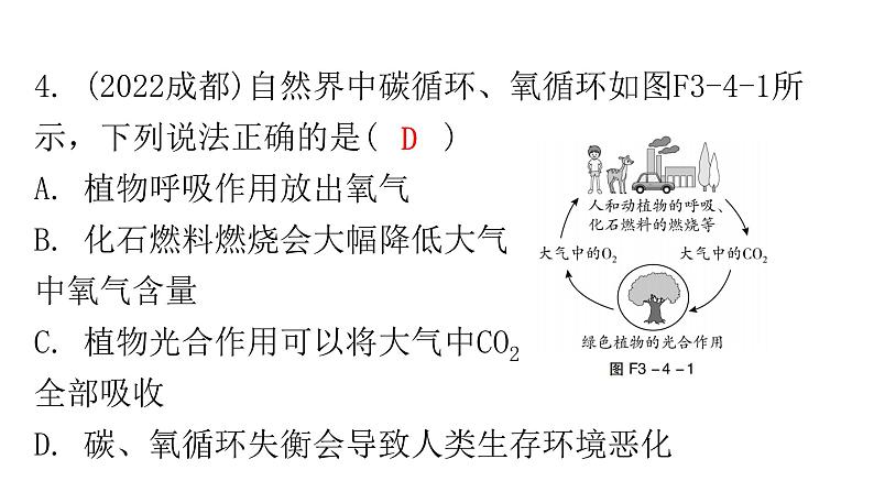 中考化学复习物质的性质与应用第4节二氧化碳分层作业课件第5页