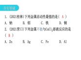 中考化学复习物质的性质与应用第8节金属的化学性质和金属活动性顺序分层作业课件