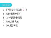 中考化学复习物质的性质与应用第11节常见的盐和化肥分层作业课件