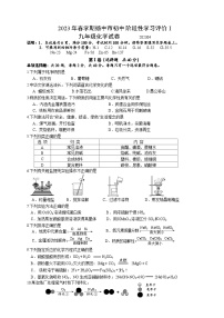 2023年春学期扬中市初中阶段性学习评价I九年级化学试卷