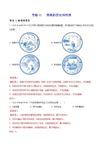 2020年中考化学真题分项汇编专题 01 物质的变化和性质（含解析）