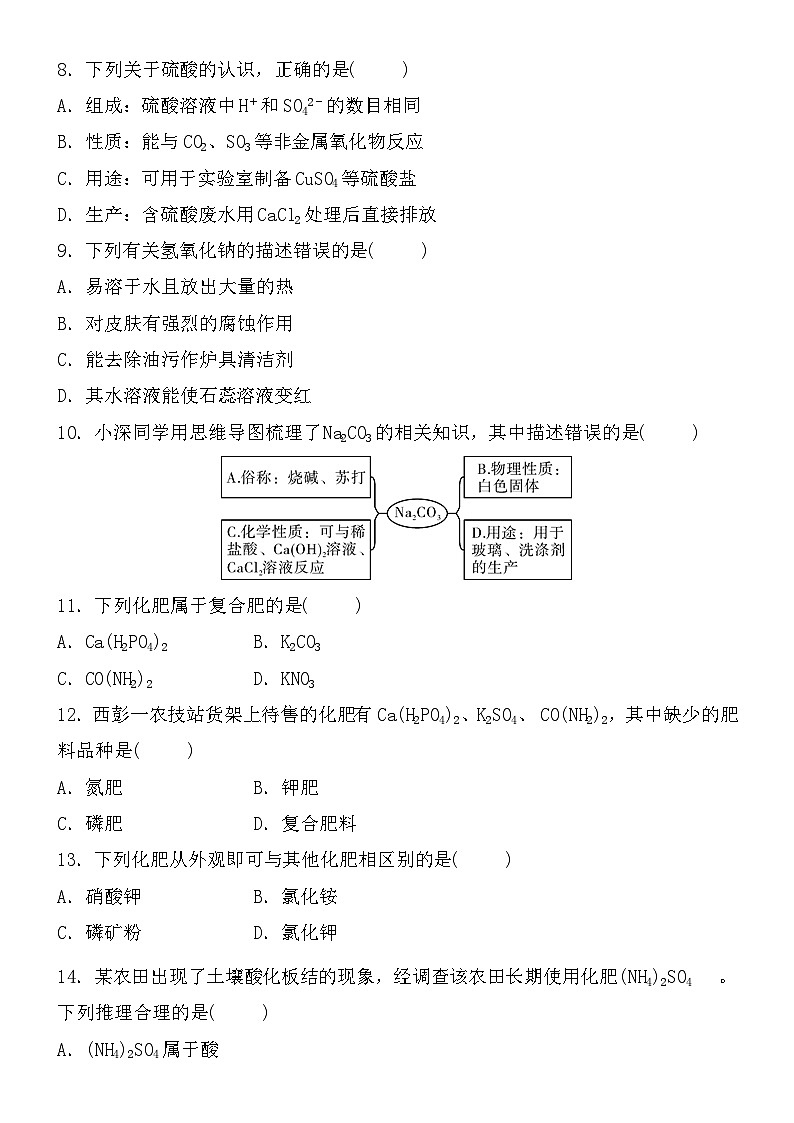 中考化学一轮复习核心素养专练：常见的酸碱盐　化学肥料 (含答案)第2页