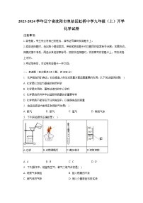 2023-2024学年辽宁省沈阳市皇姑区虹桥中学九年级（上）开学化学试卷（含解析）