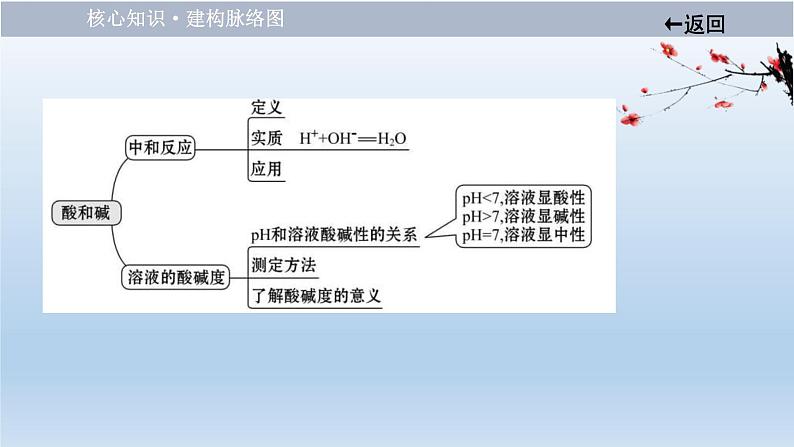 中考化学一轮单元总复习课件 第十单元　中和反应和pH (含答案)03