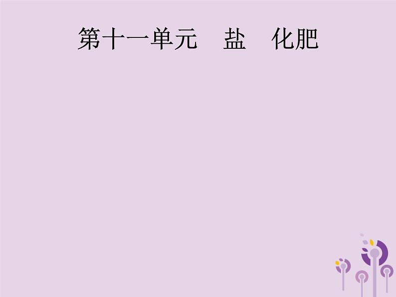 中考化学一轮复习基础知识过关课件 第十一单元盐 化肥（含答案）第1页